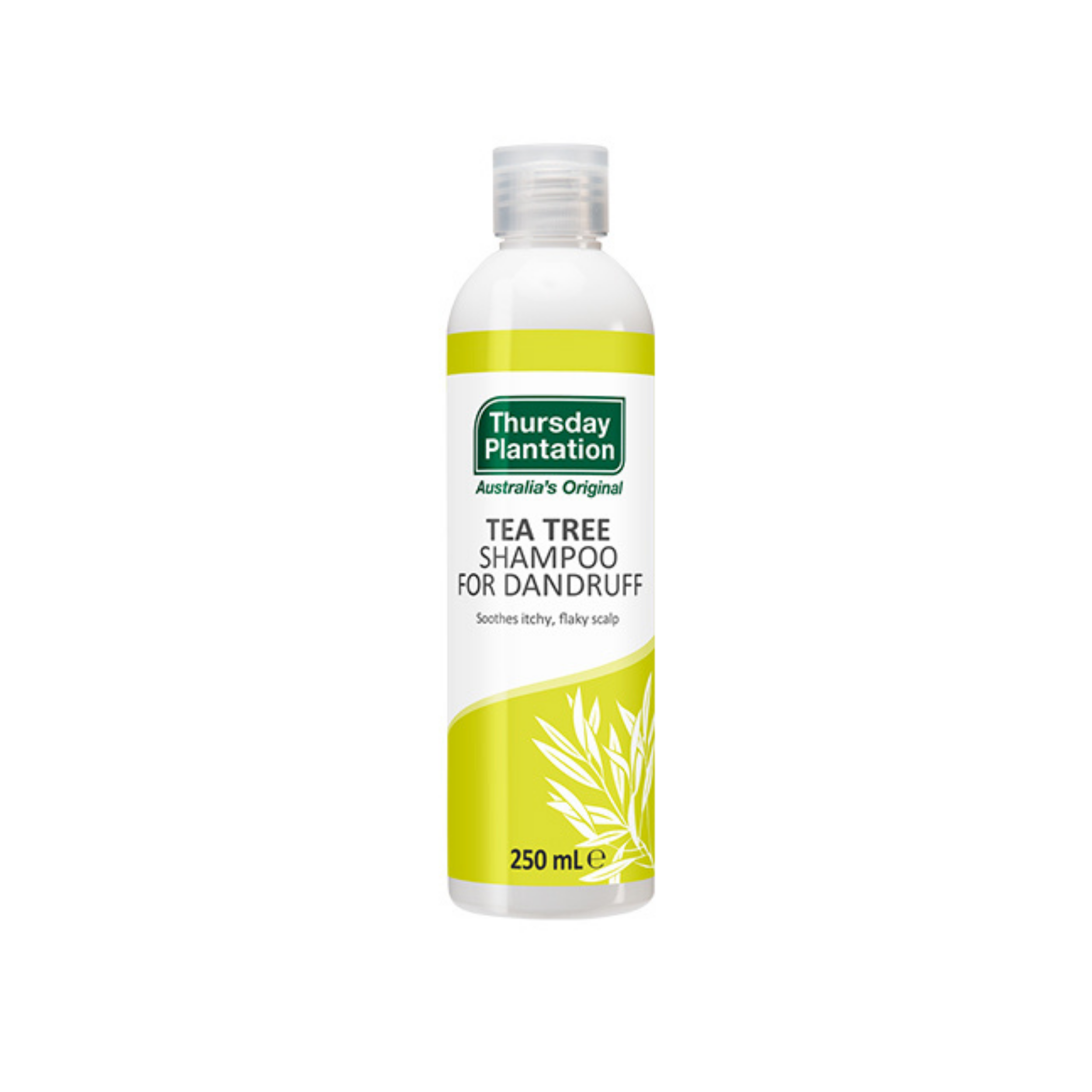 Tea Tree Shampoo For Dandruff 250ml